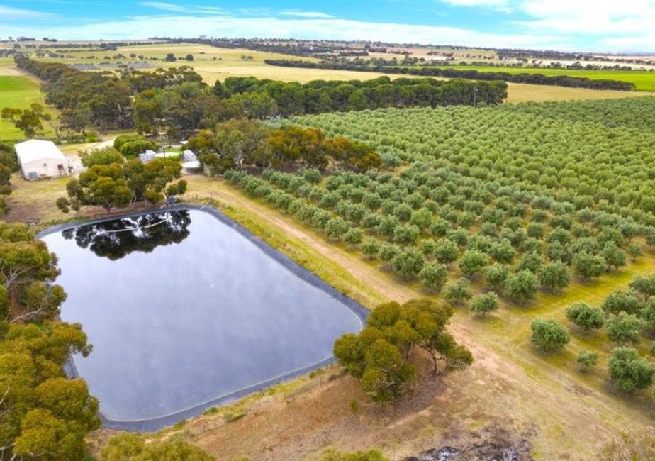 Nature’s bounty at your doorstep