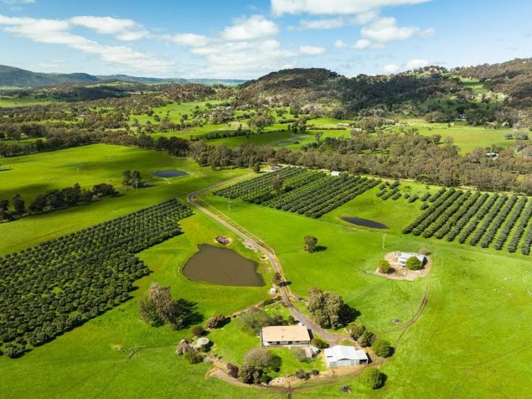 Spike in Aussies looking for farms to live and run their own business
