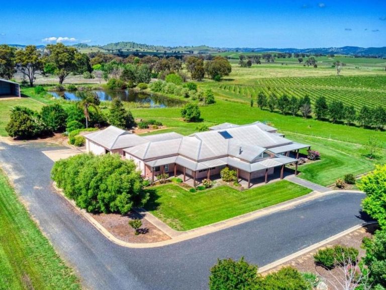 Organic Mudgee vineyard, Zeals Vineyard, for sale with $6 million price tag