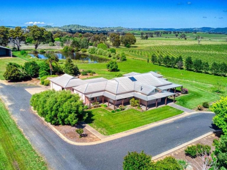 Organic Mudgee vineyard, Zeals Vineyard, for sale with $6 million price tag