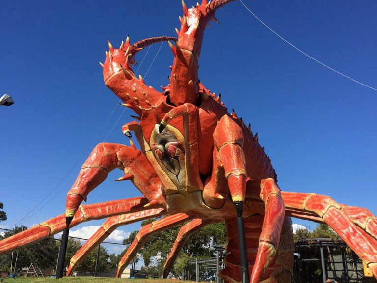 Car and boat wash across from SA’s famous Big Lobster hits the market