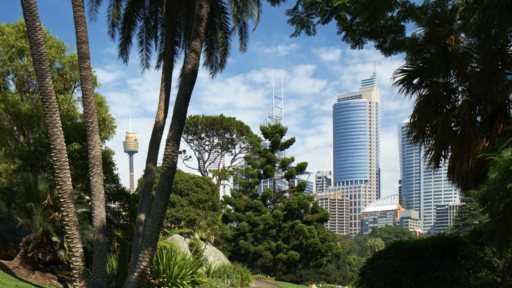Sydney's Royal Botanic Gardens