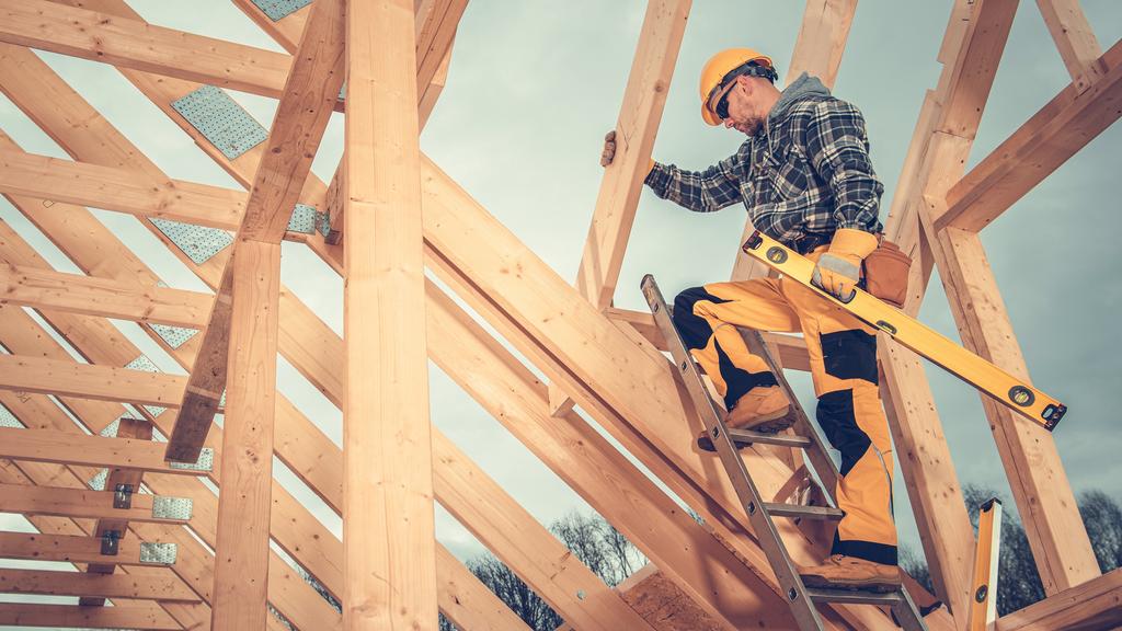 Caucasian Wood Skeleton Frame Worker
