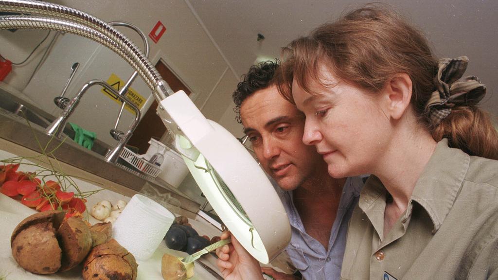 FEBRUARY 2, 2000 : CSIRO scientists Dr (Doctor) Victoria Gordon & Dr Paul Reddell with deadly native idiot fruit in the Atherton area of Cairns, 02/02/00. Pic Steve Brennan. Queensland