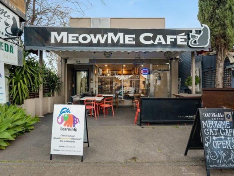 Purrfect investment property and home of MeowMe Cat Cafe up for grabs in Parkside