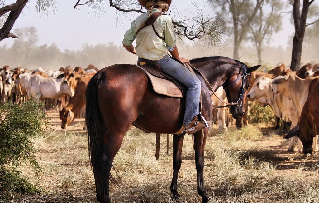 Jumbuck Pastoral’s MacLachlan family splits grazing empire