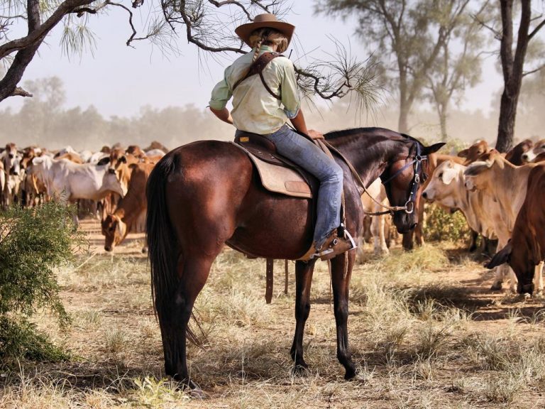 Jumbuck Pastoral’s MacLachlan family splits grazing empire