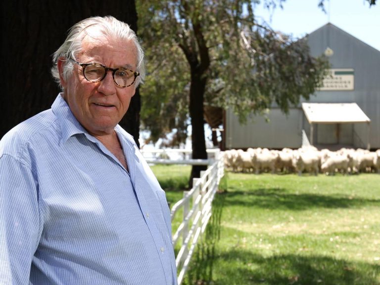 $700m sheep stations for sale