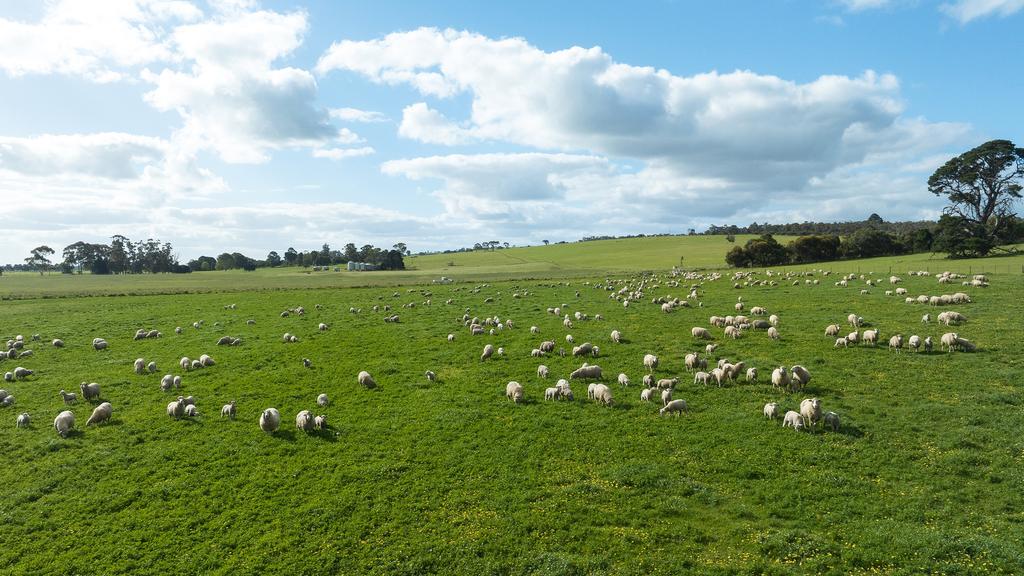 Supplied Editorial Childerley Park. Address: 9930 Riddoch Highway, Naracoorte. Picture: Supplied by TDC Livestock & Property