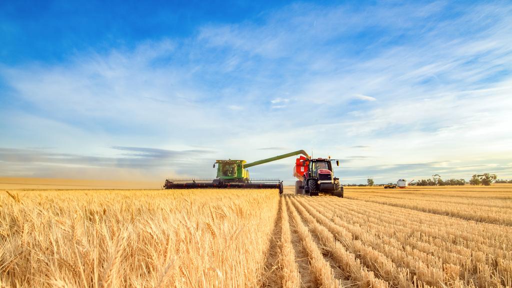 Harvesting machine approaching with the foreground of golden wheat