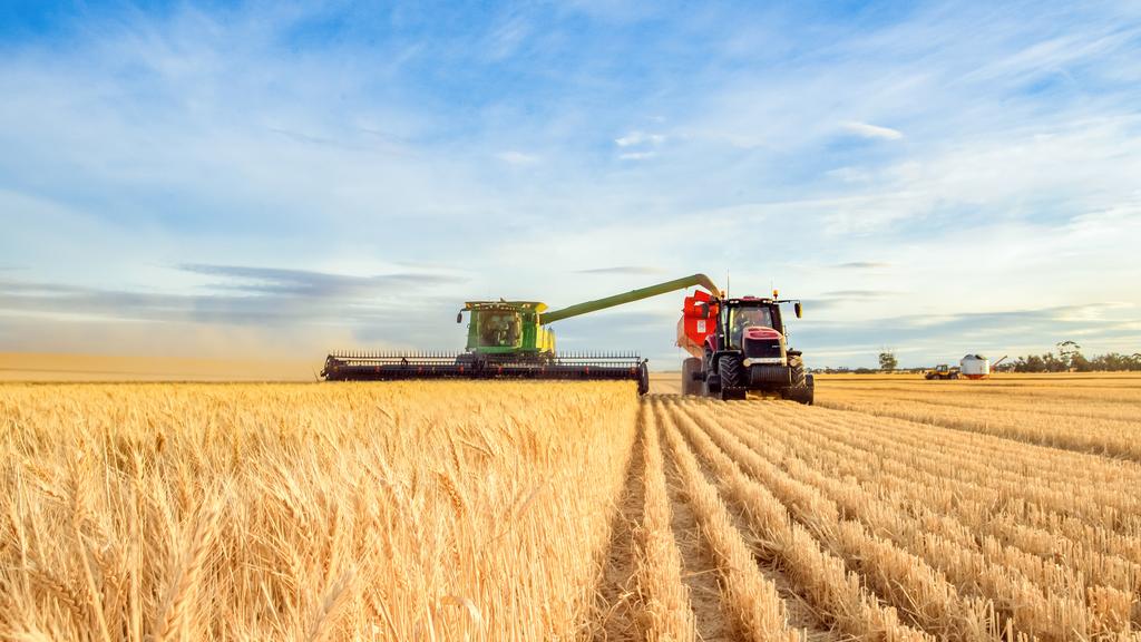 Harvesting machine approaching with the foreground of golden wheat