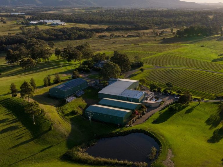 Award-winning $16m Hunter Valley winery for sale
