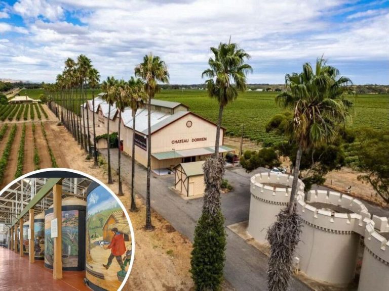 Barossa icon Chateau Dorrien listed for sale for the first time in almost 40 years