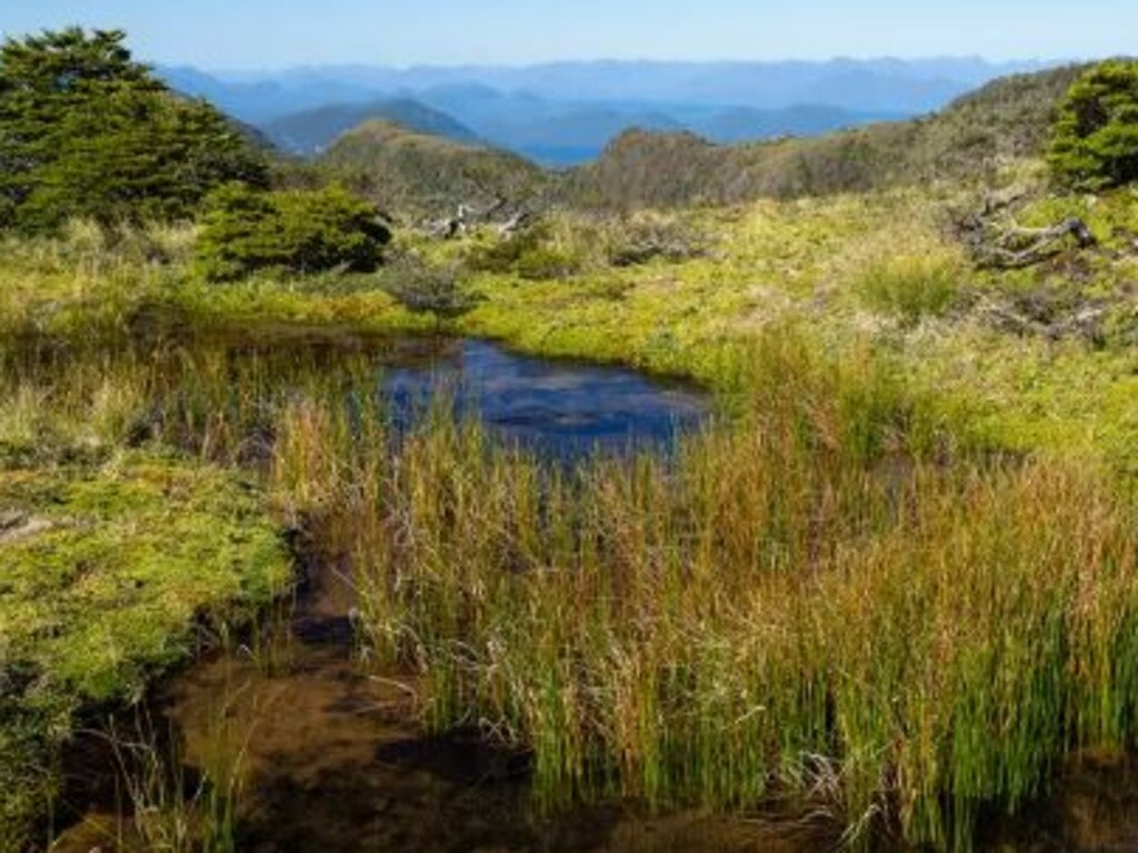 Patagonia island for sale for $53.5m.