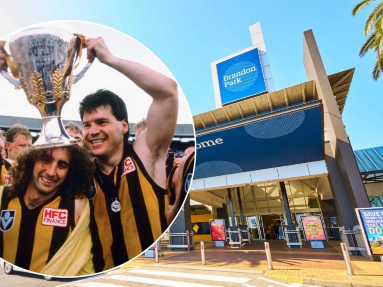 Brandon Park Shopping Centre: Former AFL Commissioner Chris Langford selling Wheelers Hill Plaza