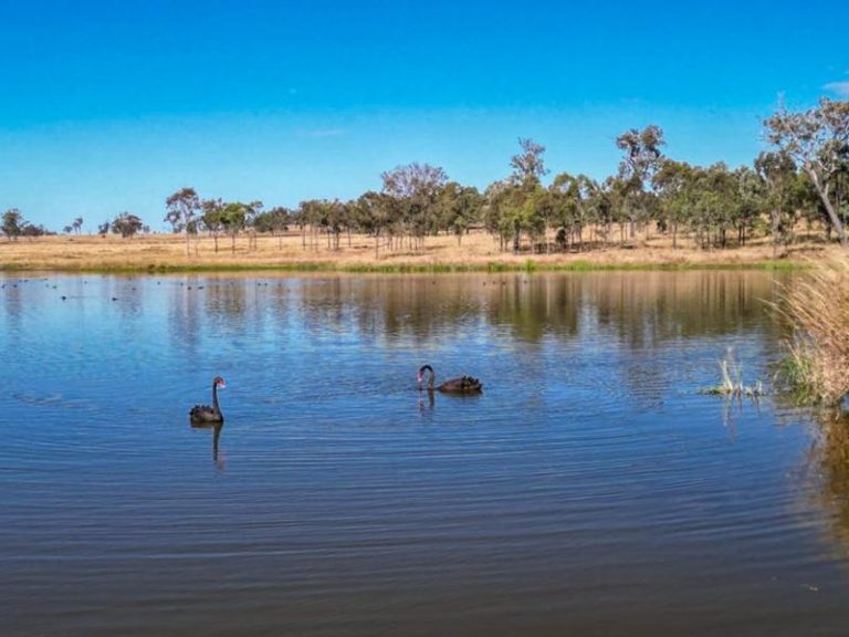 Richlist cattleman lands $9.8m for Mount Walker farm