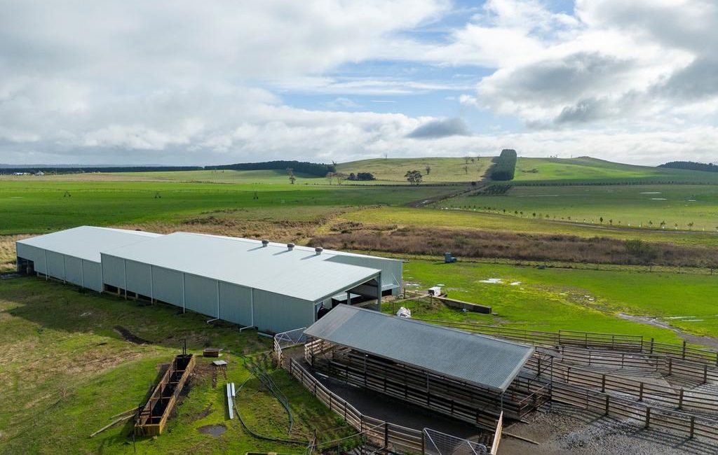 ‘Powerhouse’: Blue ribbon farm’s first time for sale in 70 years