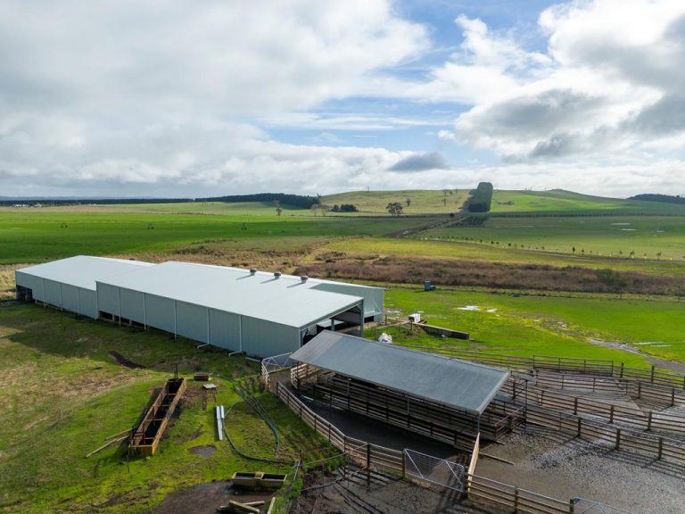 ‘Powerhouse’: Blue ribbon farm’s first time for sale in 70 years