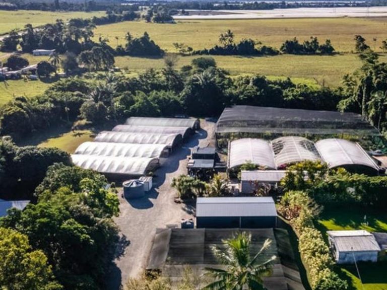 Cairns nursery for sale complete with biosecurity clearance