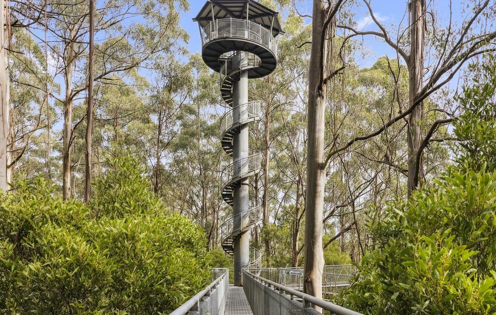 Otway Fly eco-tourism site listed for sale as focus shifts to city attractions