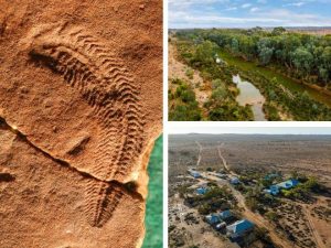 Martins Well Rangeland Reserve listed for sale