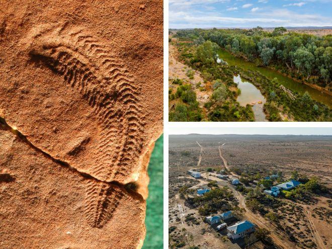 Martins Well Rangeland Reserve listed for sale