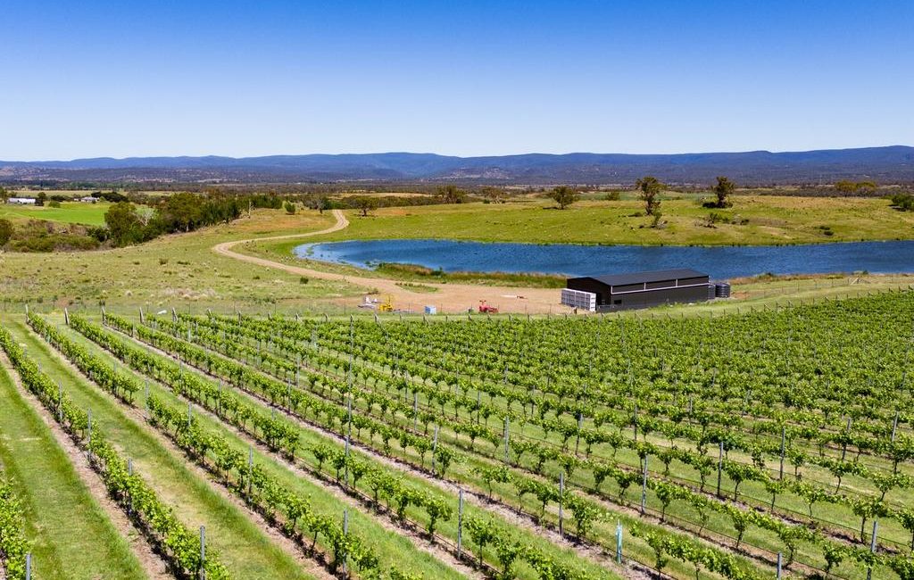Swansea’s Grange offers premium vineyard, and a bonus option