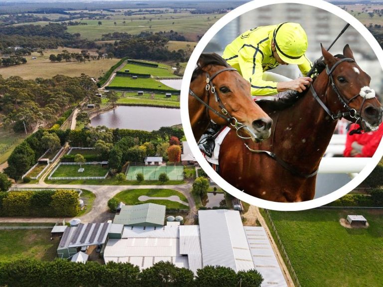 Manningtree Park: Racing figures Darren and Elizabeth Dance sell their Vic thoroughbred stud that produced Jakalberry, Dandino