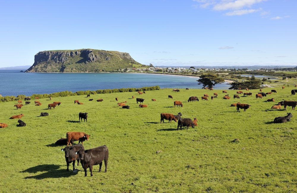 Tasmania has the most valuable farmland of all the states, according to a new report. Picture: Getty