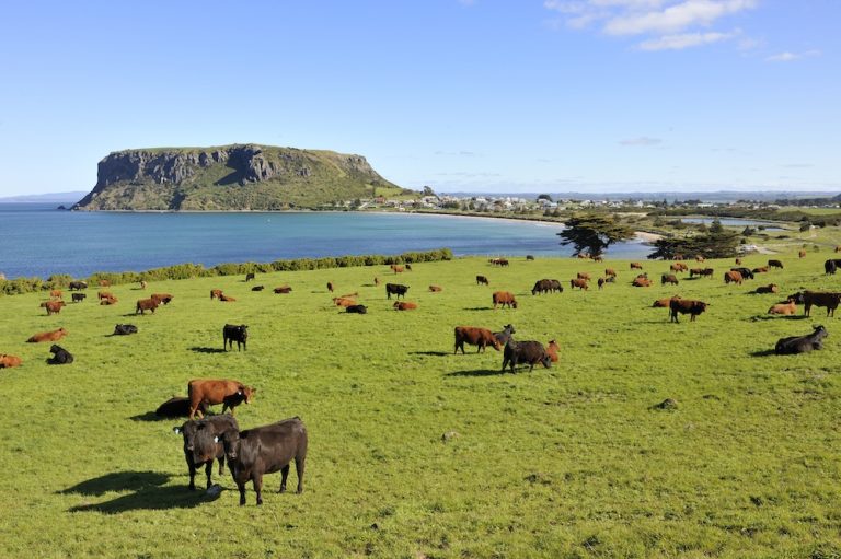 Boomed more than Byron: Aussie farmland prices triple in 10 years