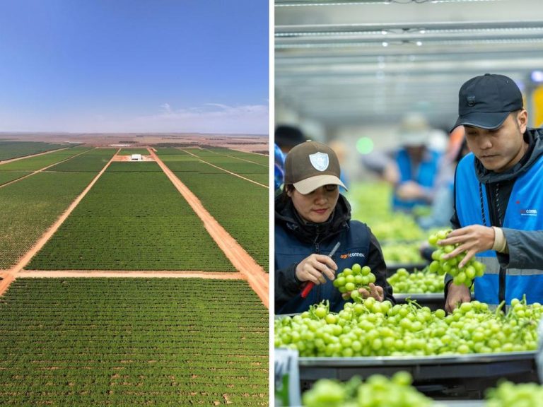 Talia Farms in SA’s riverland town of Lyrup expected to fetch millions