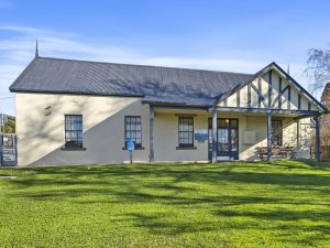 Purr-fect opportunity: Premium veterinary investment