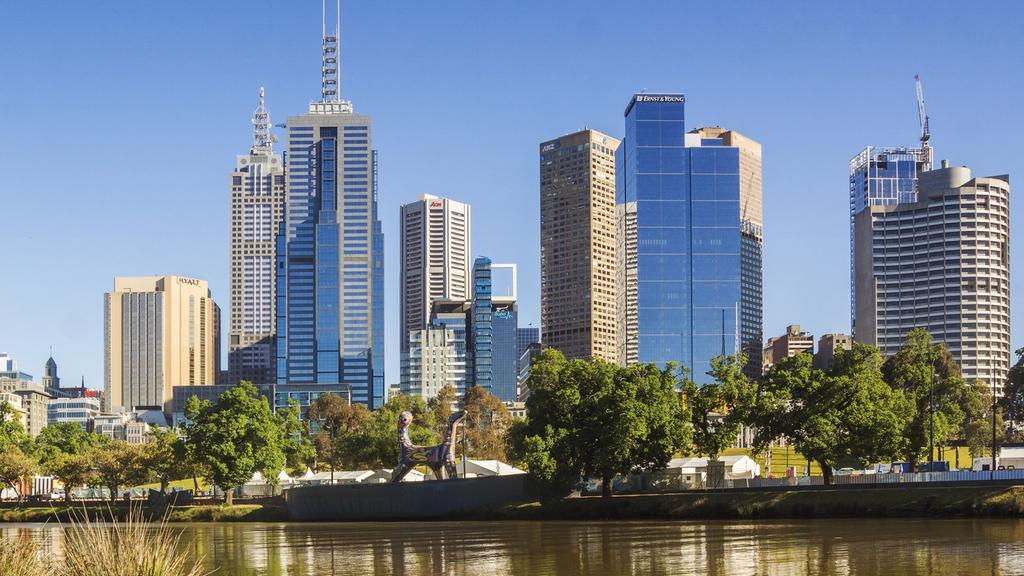 Ducks by Yarra River, Melbourne
