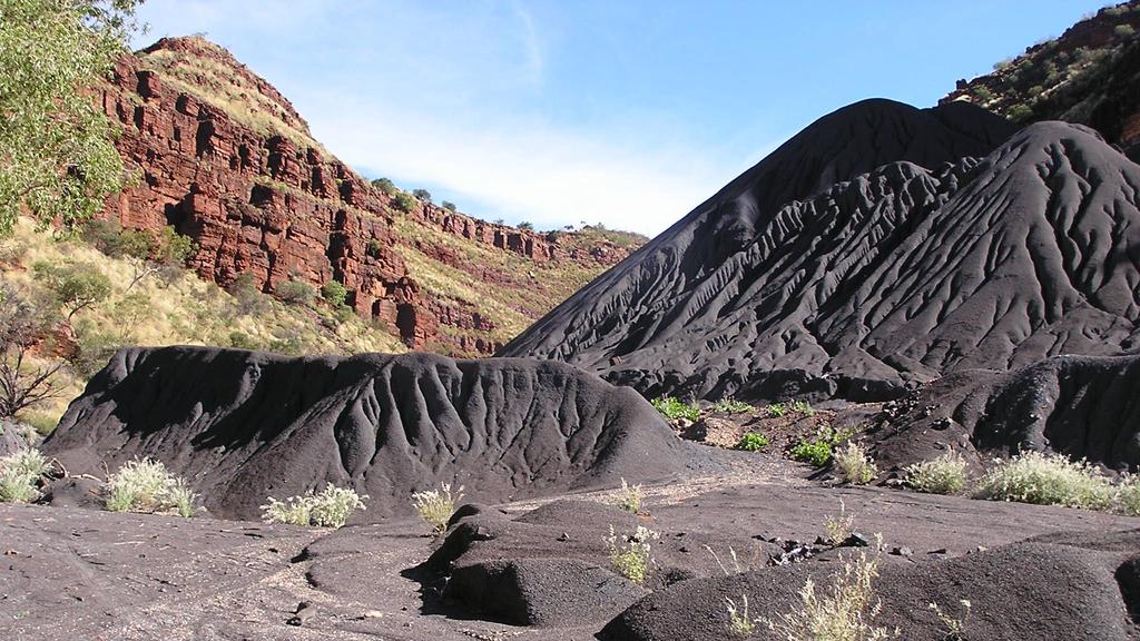 NEWS Wittenoom asbestos Robin Chapple Greens MP story Nick Taylor  Picture: SUPPLIED Picture: Supplied