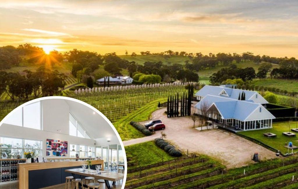 Grape opportunity in award-winning Adelaide Hills winery Artwine