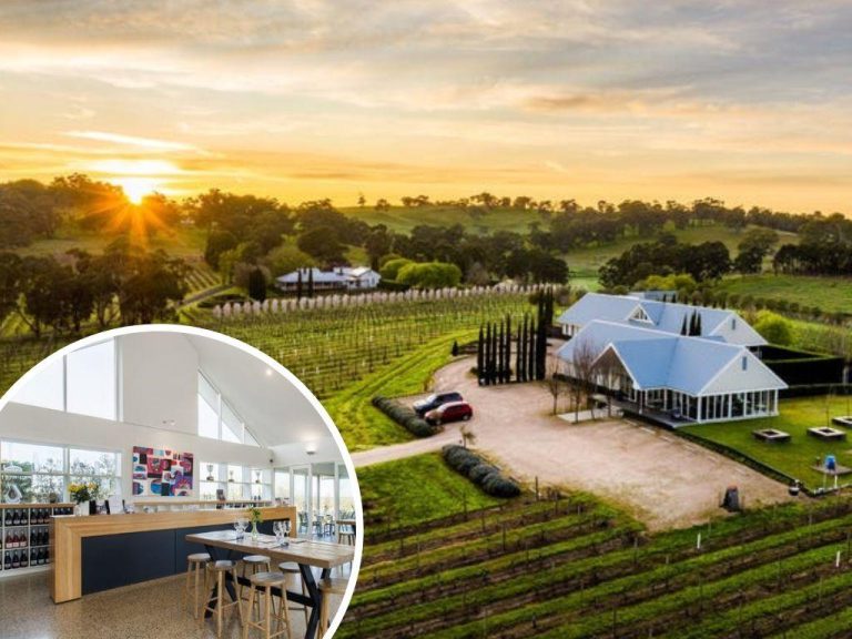 Grape opportunity in award-winning Adelaide Hills winery Artwine