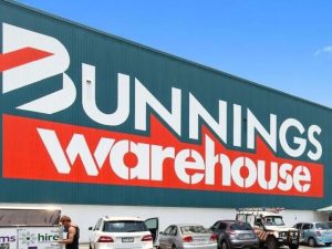 Australian government loans Wesfarmers $100m in bombshell deal