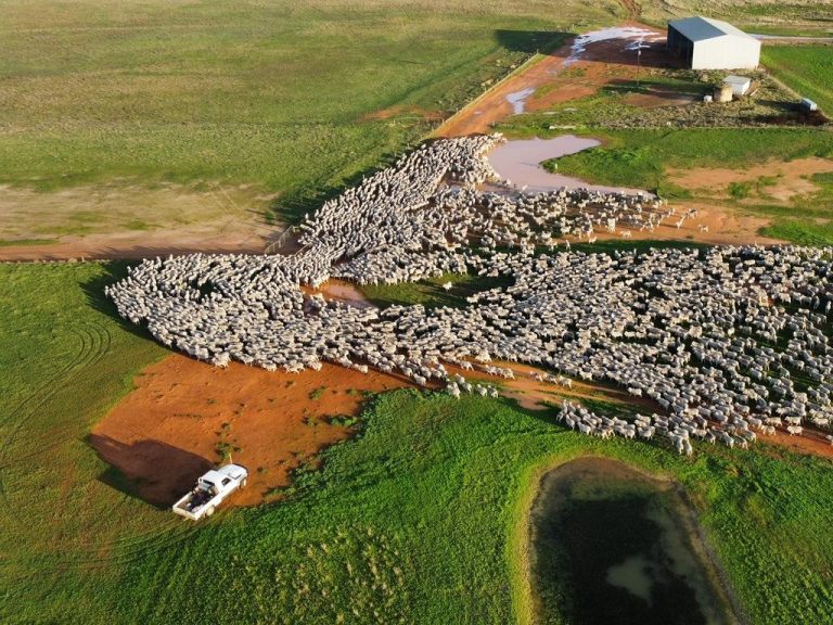 Massive farm on Vic-SA border linked to controversial SA MP Nick McBride listed for sale