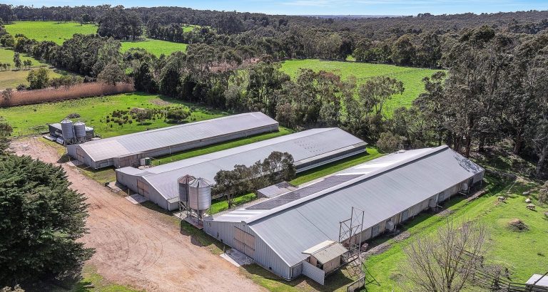 Mornington Peninsula chicken farm with 51,000 bird capacity up for grabs