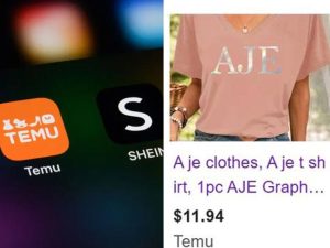 Temu, Shein rip-offs: China’s Aus threat amid store shutdowns