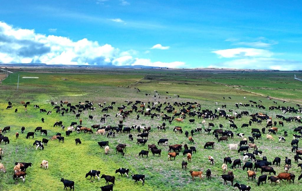 Tas farmland price tops Aussie regions