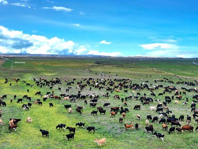Tas farmland price tops Aussie regions