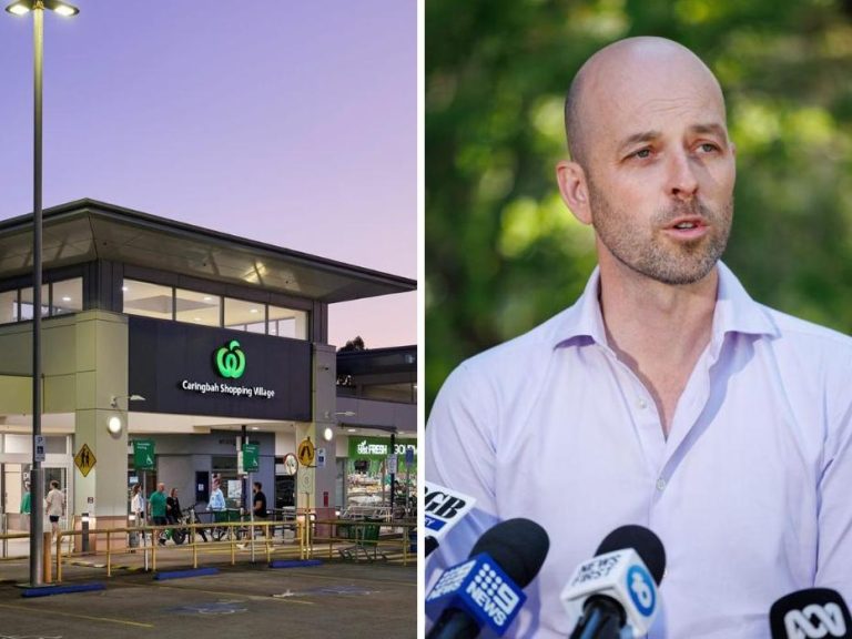 Sutherland Shire mall with ‘trophy’ Woolworths listed for sale