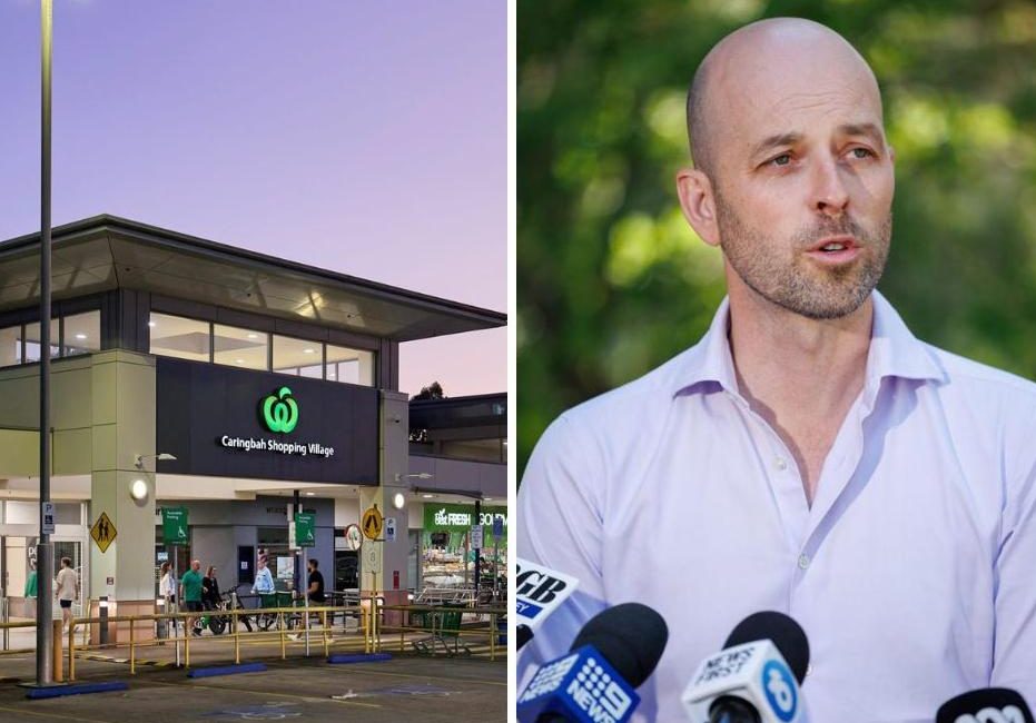 Sutherland Shire mall with ‘trophy’ Woolworths listed for sale