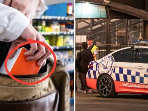 Sydney’s retail theft hotspots exposed in new crime data