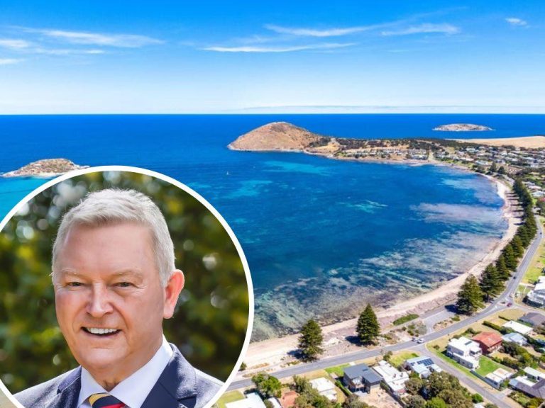 South coast holiday bookings recovering amid algal bloom crisis