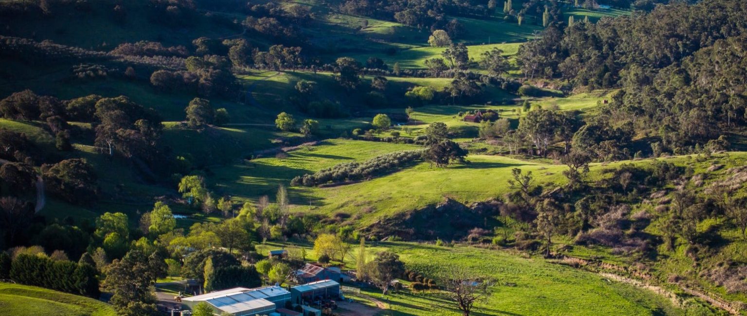 The headquarters of the renowned ALTO extra virgin oils and table olives has hit the market. Picture: realestate.com.au/buy