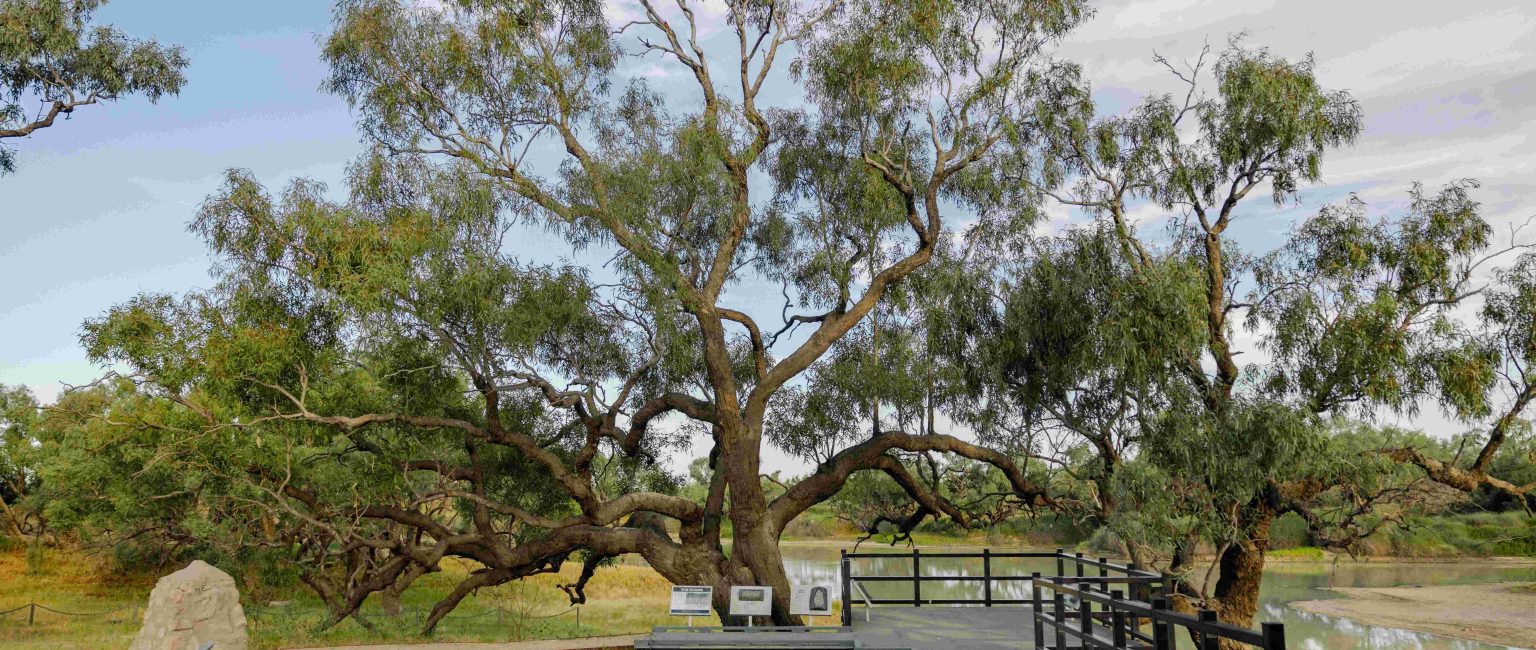 Iconic outback station with famed Dig Tree hits market for $80m+