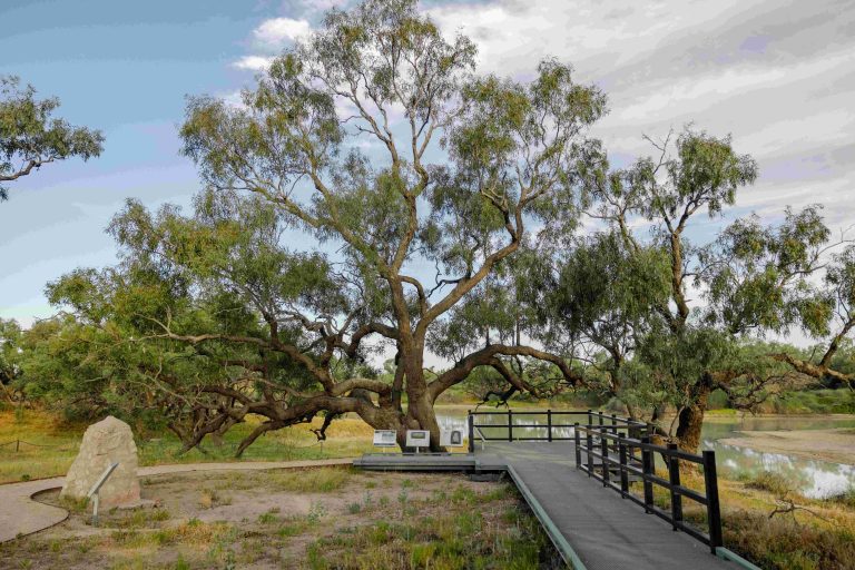 Iconic outback station with famed Dig Tree hits market for $80m+