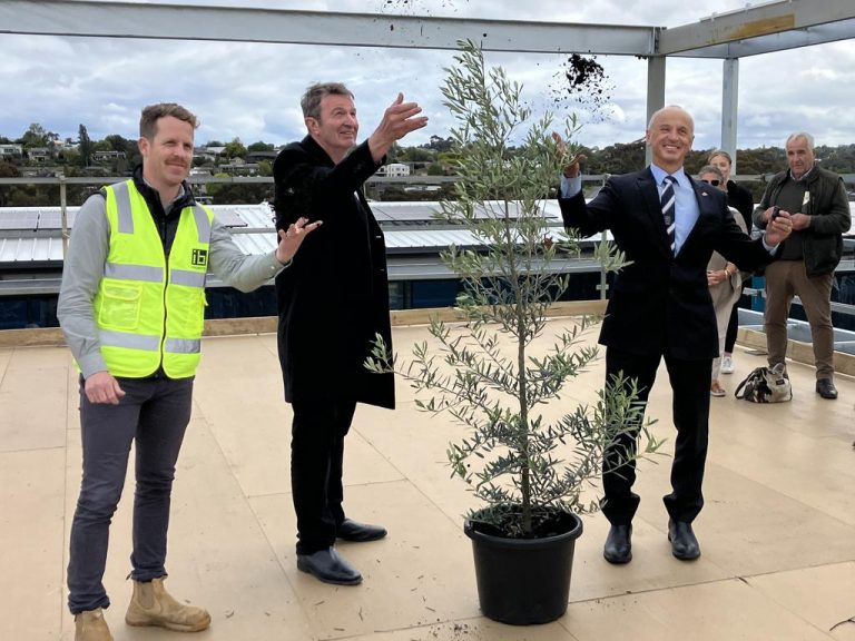 Geelong mayor pleads for tax breaks to kickstart city projects